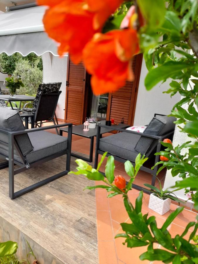 Apartment Iva