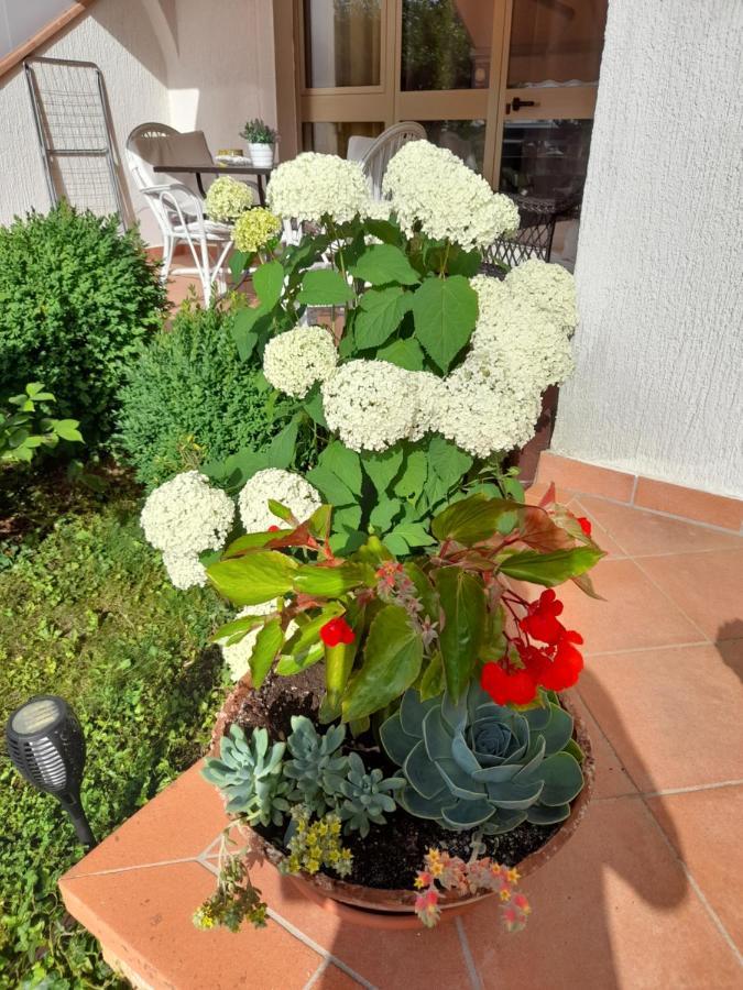 Apartment Iva Poreč