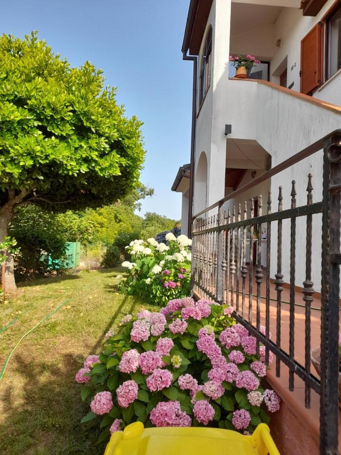 Apartment Iva Poreč